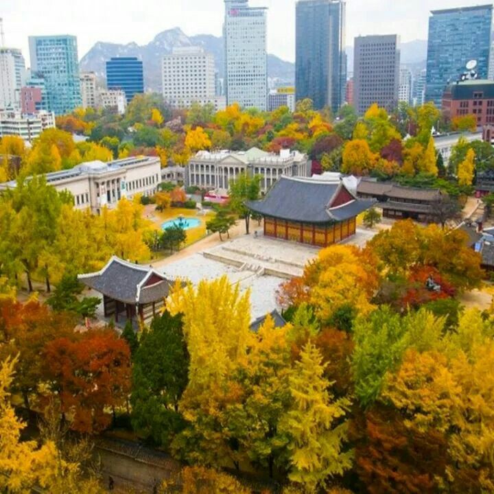 HẢI PHÒNG - SEOUL - ĐẢO NAMI - LOTTE WORLD - LÀNG CỔ SONGWOL-DONG - TRẢI NGHIỆM LÀM KIM CHI & MẶC ÁO HANBOK - Ảnh 15