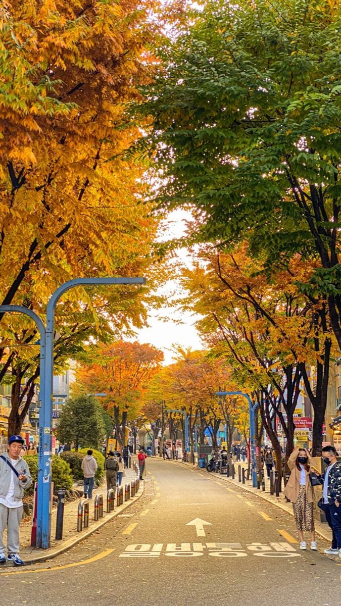 HẢI PHÒNG - SEOUL - ĐẢO NAMI - LOTTE WORLD - LÀNG CỔ SONGWOL-DONG - TRẢI NGHIỆM LÀM KIM CHI & MẶC ÁO HANBOK - Ảnh 3