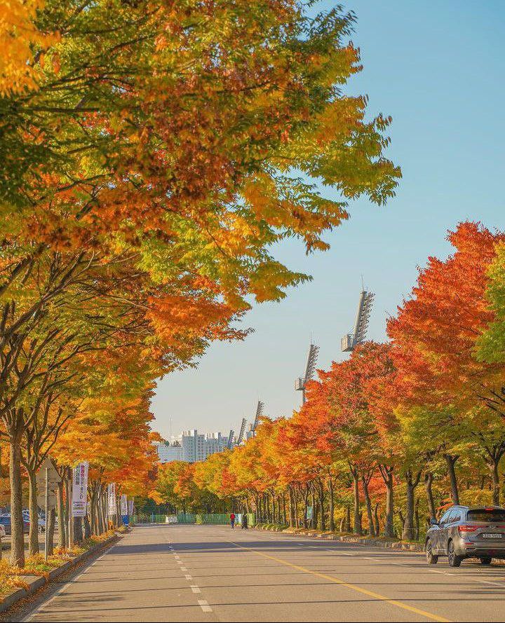 HẢI PHÒNG - SEOUL - ĐẢO NAMI - LOTTE WORLD - LÀNG CỔ SONGWOL-DONG - TRẢI NGHIỆM LÀM KIM CHI & MẶC ÁO HANBOK - Ảnh 7