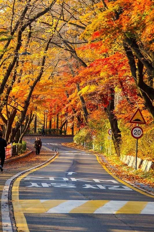 HẢI PHÒNG - SEOUL - ĐẢO NAMI - LOTTE WORLD - LÀNG CỔ SONGWOL-DONG - TRẢI NGHIỆM LÀM KIM CHI & MẶC ÁO HANBOK - Ảnh 2
