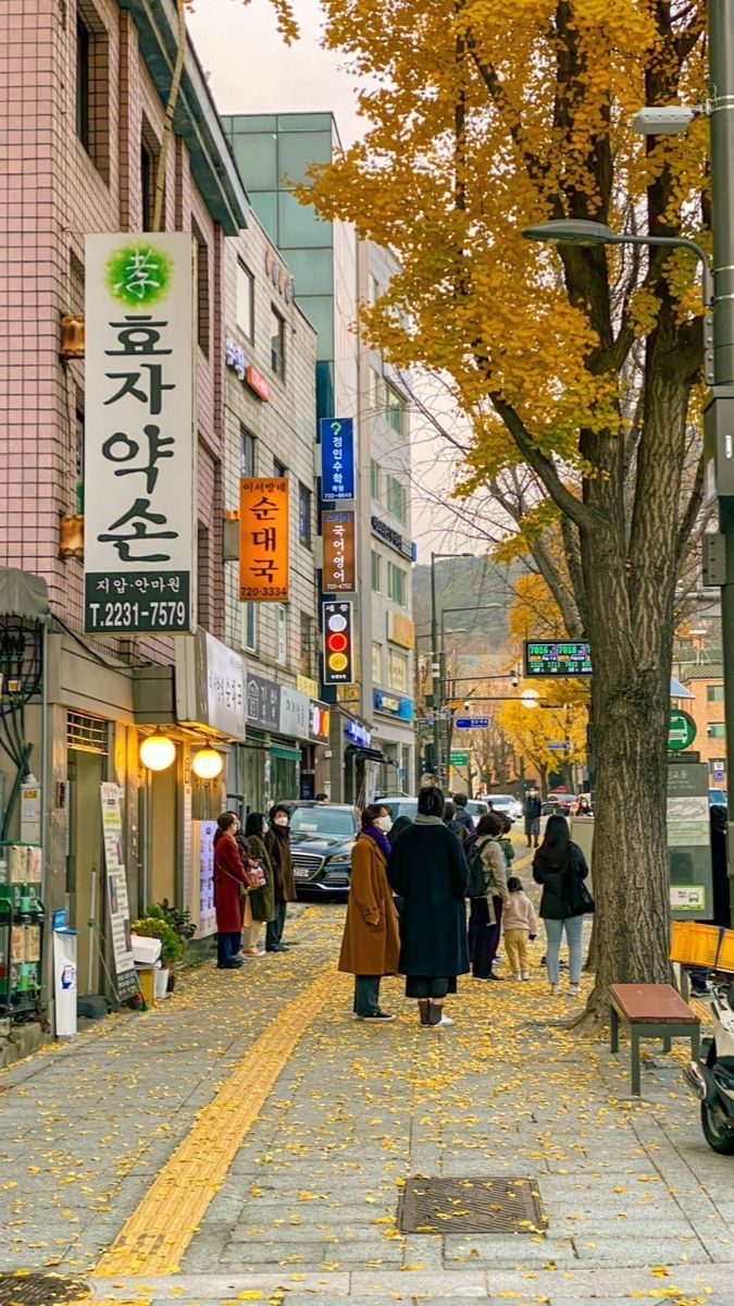 HẢI PHÒNG - SEOUL - ĐẢO NAMI - LOTTE WORLD - LÀNG CỔ SONGWOL-DONG - TRẢI NGHIỆM LÀM KIM CHI & MẶC ÁO HANBOK - Ảnh 10