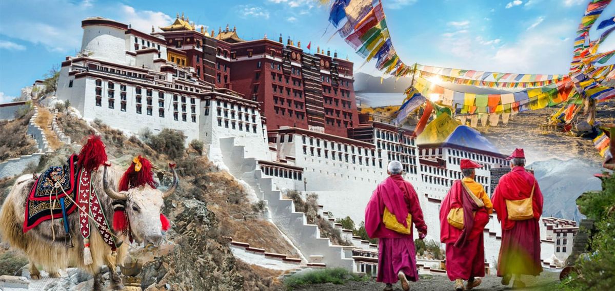 HÀ NỘI/ HẢI PHÒNG - SÂN BAY CÁT BI - LỆ GIANG - SHANGRILA - Ảnh 17