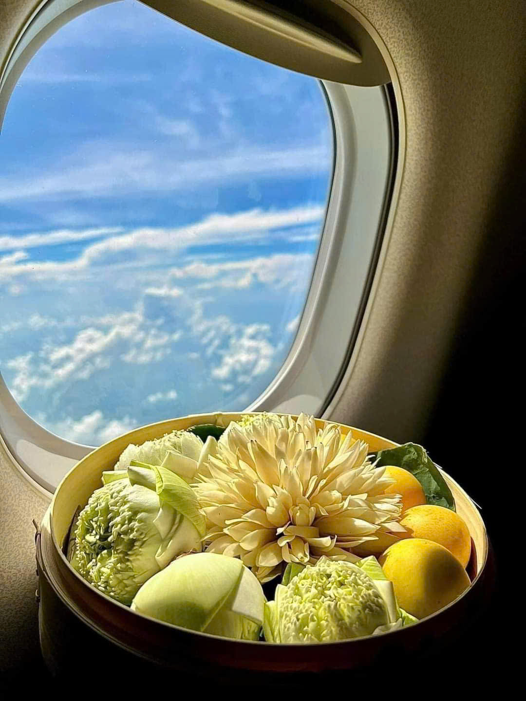 COMBO HẢI PHÒNG - CÔN ĐẢO 2N1Đ | Hàng không Vietjet Air | Khách sạn 2 sao trung tâm - Ảnh 2