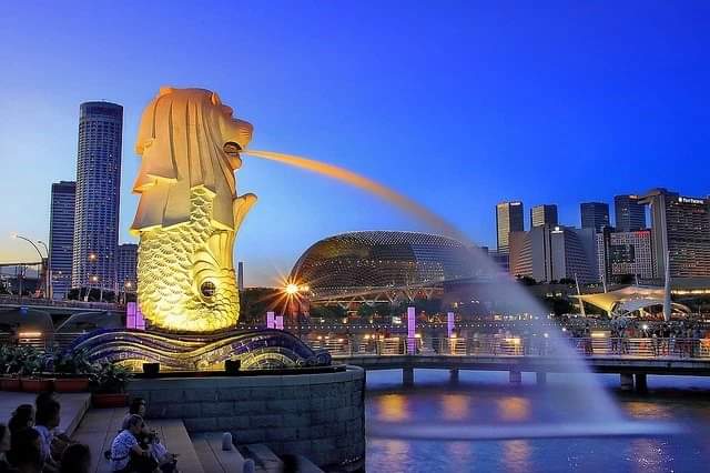 HÀ NỘI - QUỐC ĐẢO SƯ TỬ BIỂN SINGAPORE - HÀ NỘI - Ảnh 29