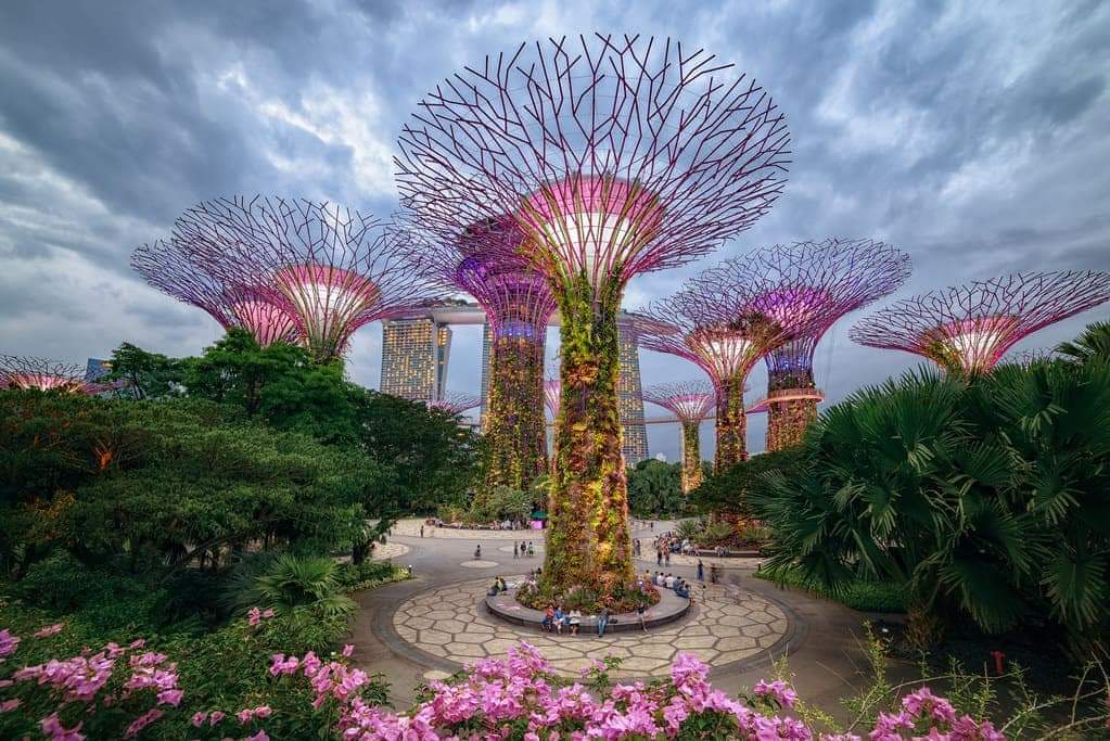 HÀ NỘI - QUỐC ĐẢO SƯ TỬ BIỂN SINGAPORE - HÀ NỘI - Ảnh 28