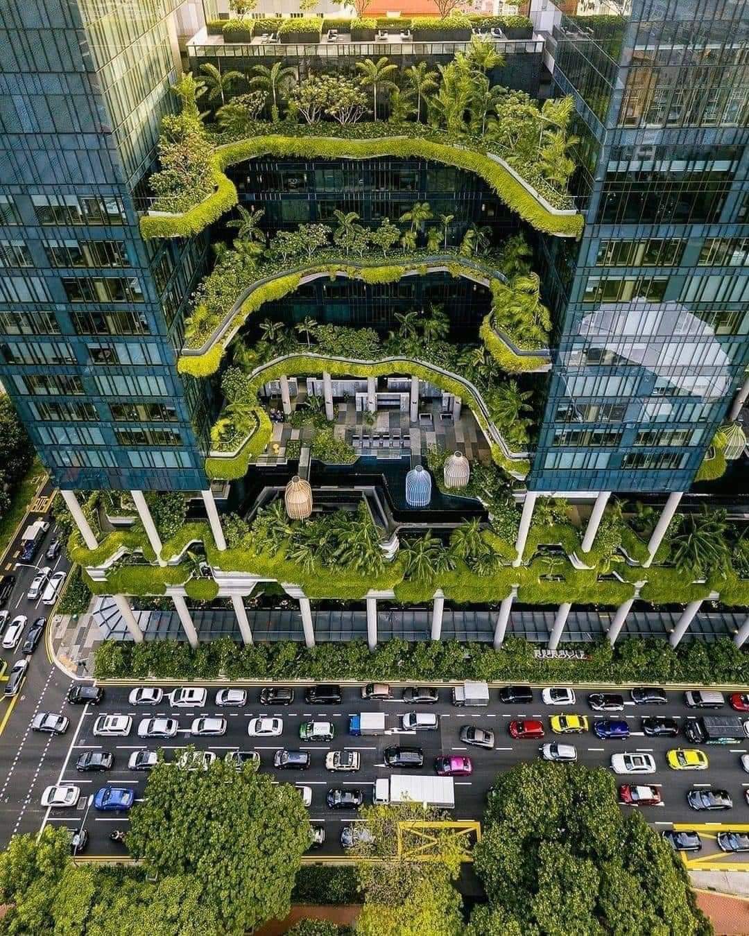 HÀ NỘI - QUỐC ĐẢO SƯ TỬ BIỂN SINGAPORE - HÀ NỘI - Ảnh 21