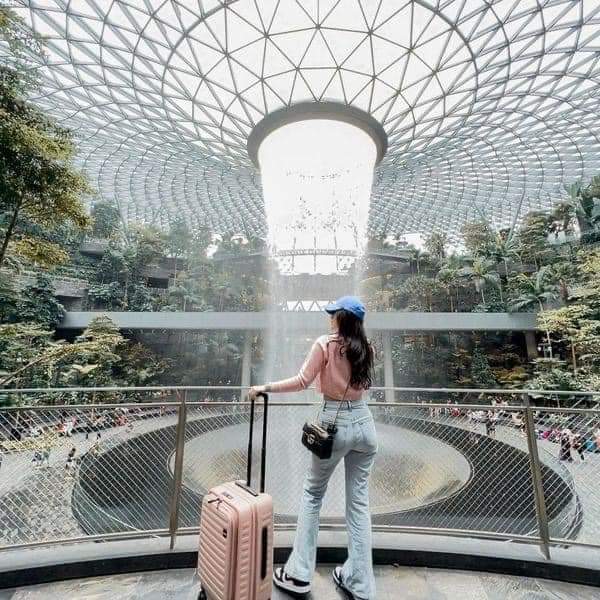 HÀ NỘI - QUỐC ĐẢO SƯ TỬ BIỂN SINGAPORE - HÀ NỘI - Ảnh 14