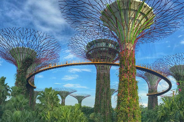 HÀ NỘI - QUỐC ĐẢO SƯ TỬ BIỂN SINGAPORE - HÀ NỘI - Ảnh 6