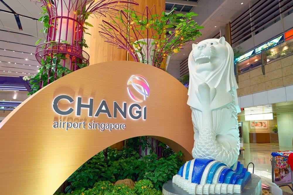 HÀ NỘI - QUỐC ĐẢO SƯ TỬ BIỂN SINGAPORE - HÀ NỘI - Ảnh 4