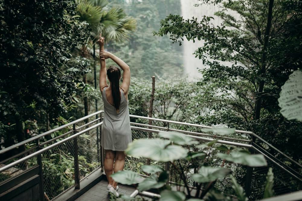HÀ NỘI - QUỐC ĐẢO SƯ TỬ BIỂN SINGAPORE - HÀ NỘI - Ảnh 3