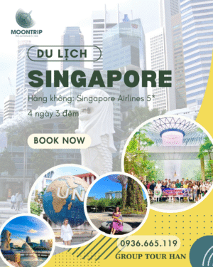 HÀ NỘI - QUỐC ĐẢO SƯ TỬ BIỂN SINGAPORE - HÀ NỘI