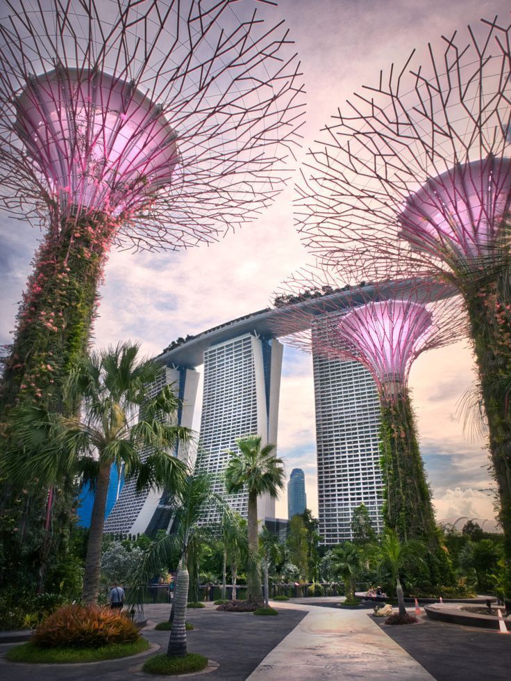 MỘT HÀNH TRÌNH 2 QUỐC GIA: SINGAPORE - MALAYSIA - Ảnh 46